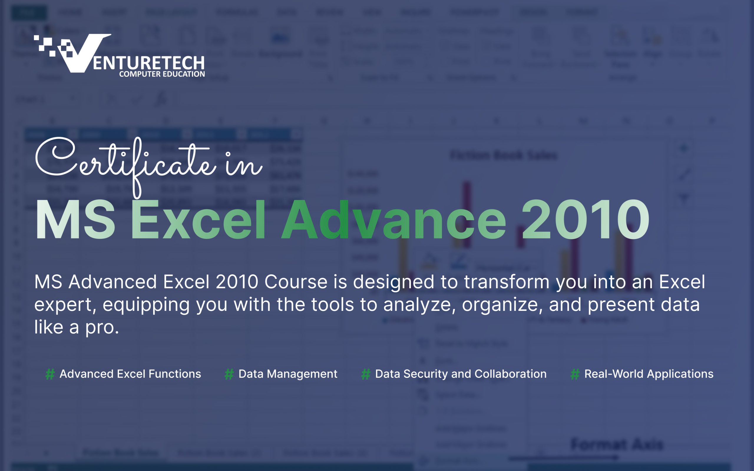 MS Excel Advance 2010